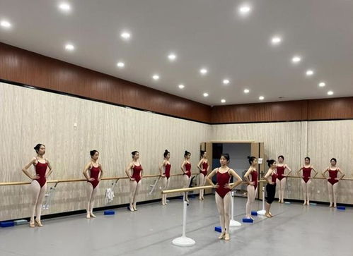 金师艺考艺术培训学校 专业课程全面升级，引领艺考新风尚